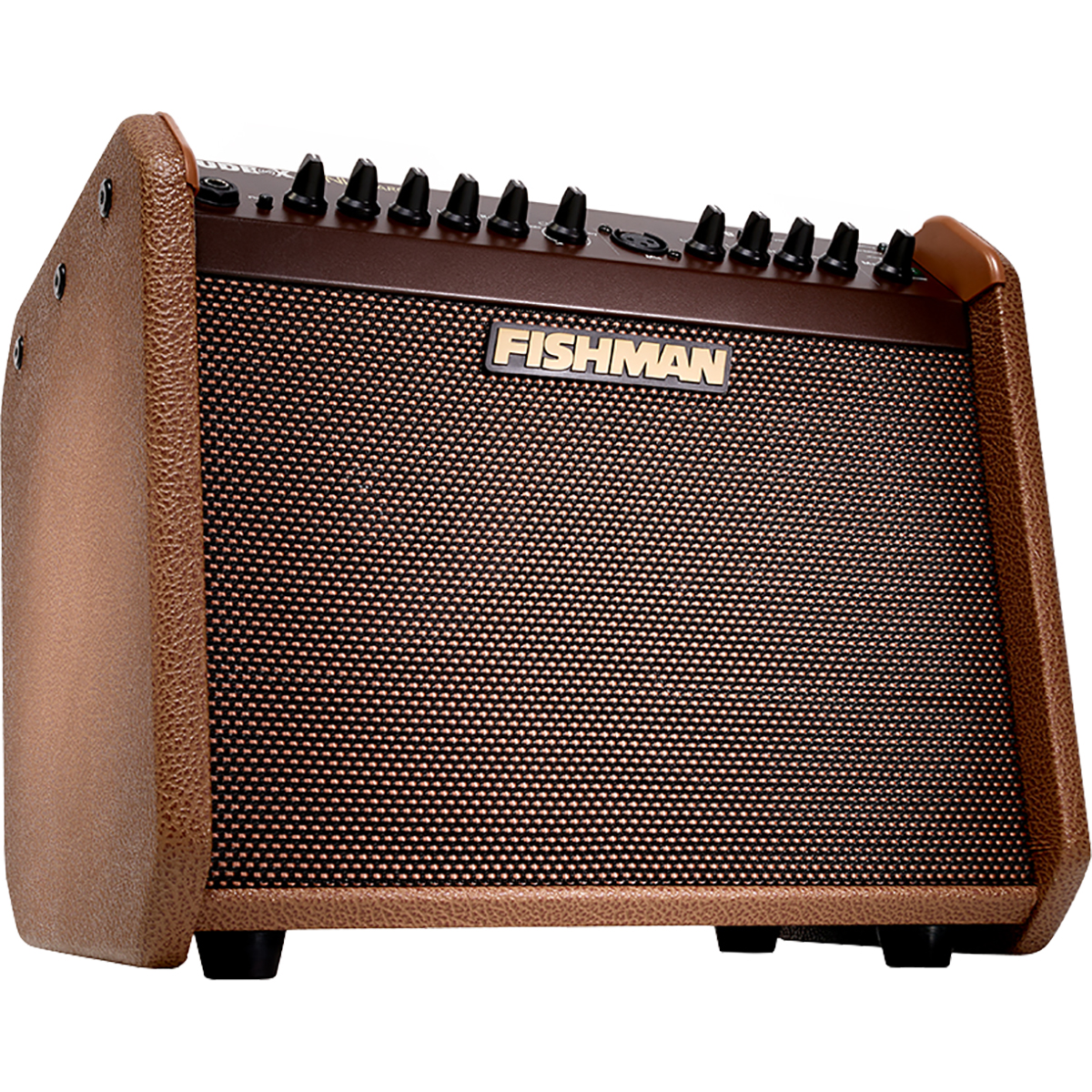 COMBO FISHMAN P/GTR. LOUDBOX MINI CHARGE
