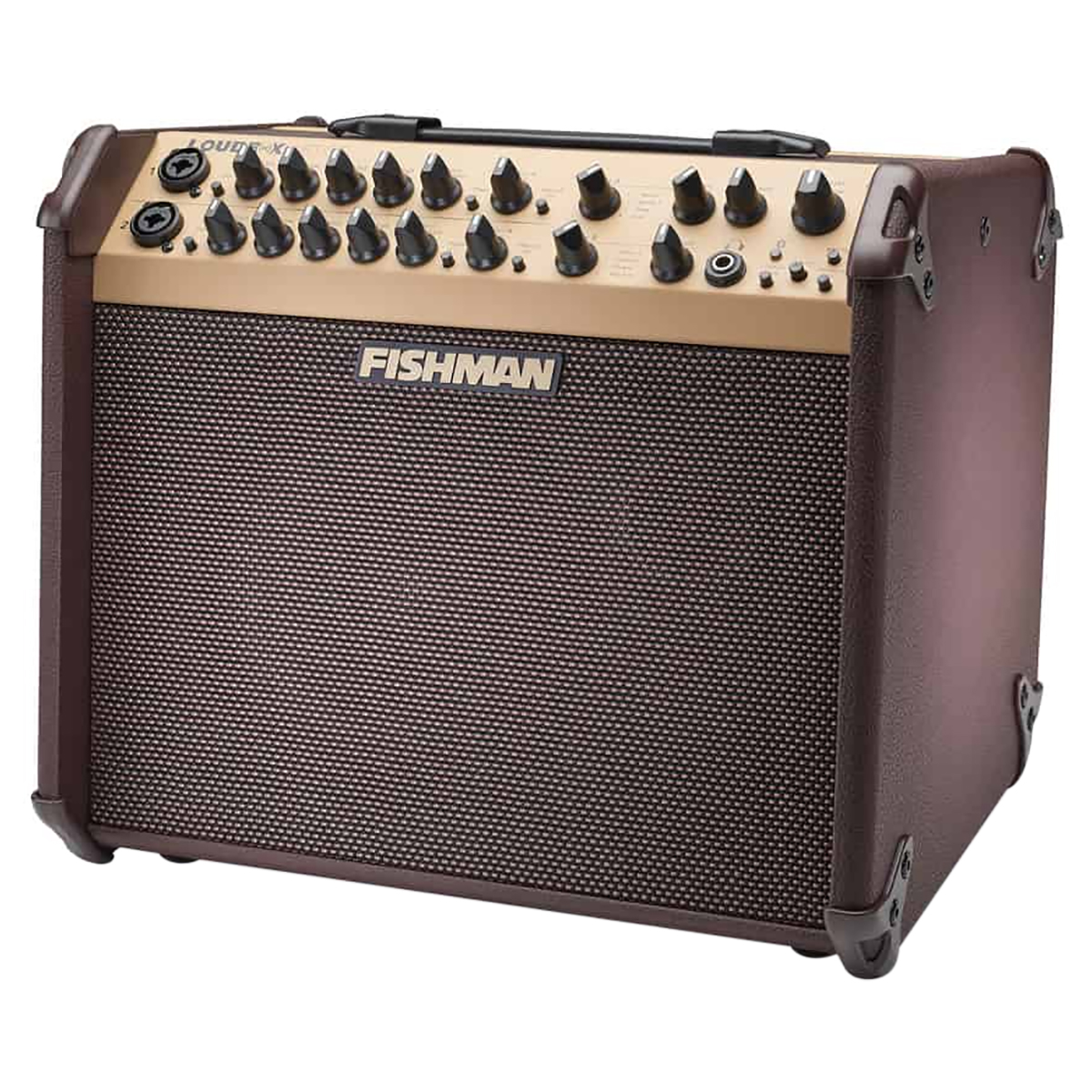 COMBO FISHMAN P/GUITARRA LOUDBOX ARTIST