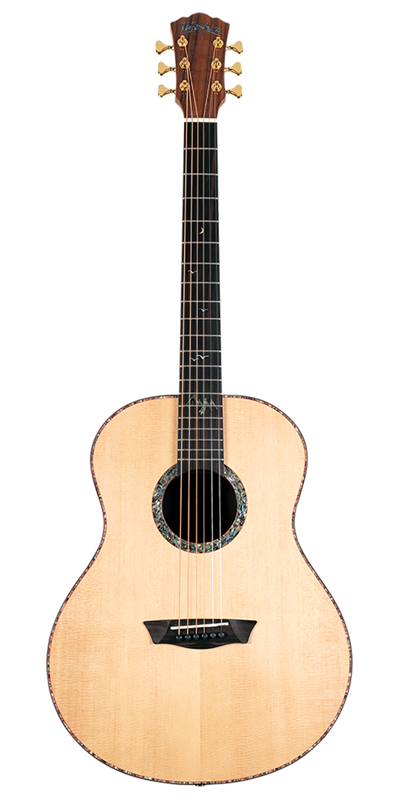 GUITARRA WASHBURN ACUSTICA MOD.BTS24S