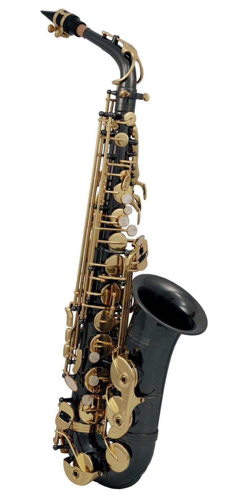 SAXOFON ROY BENSON   MOD. AS-202K