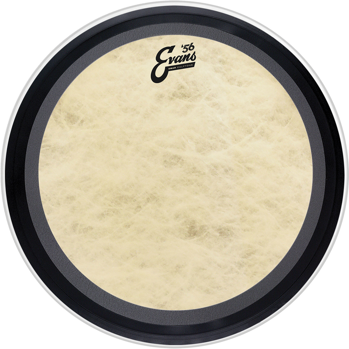 PARCHE EVANS 18      MOD. BD18EMADCT