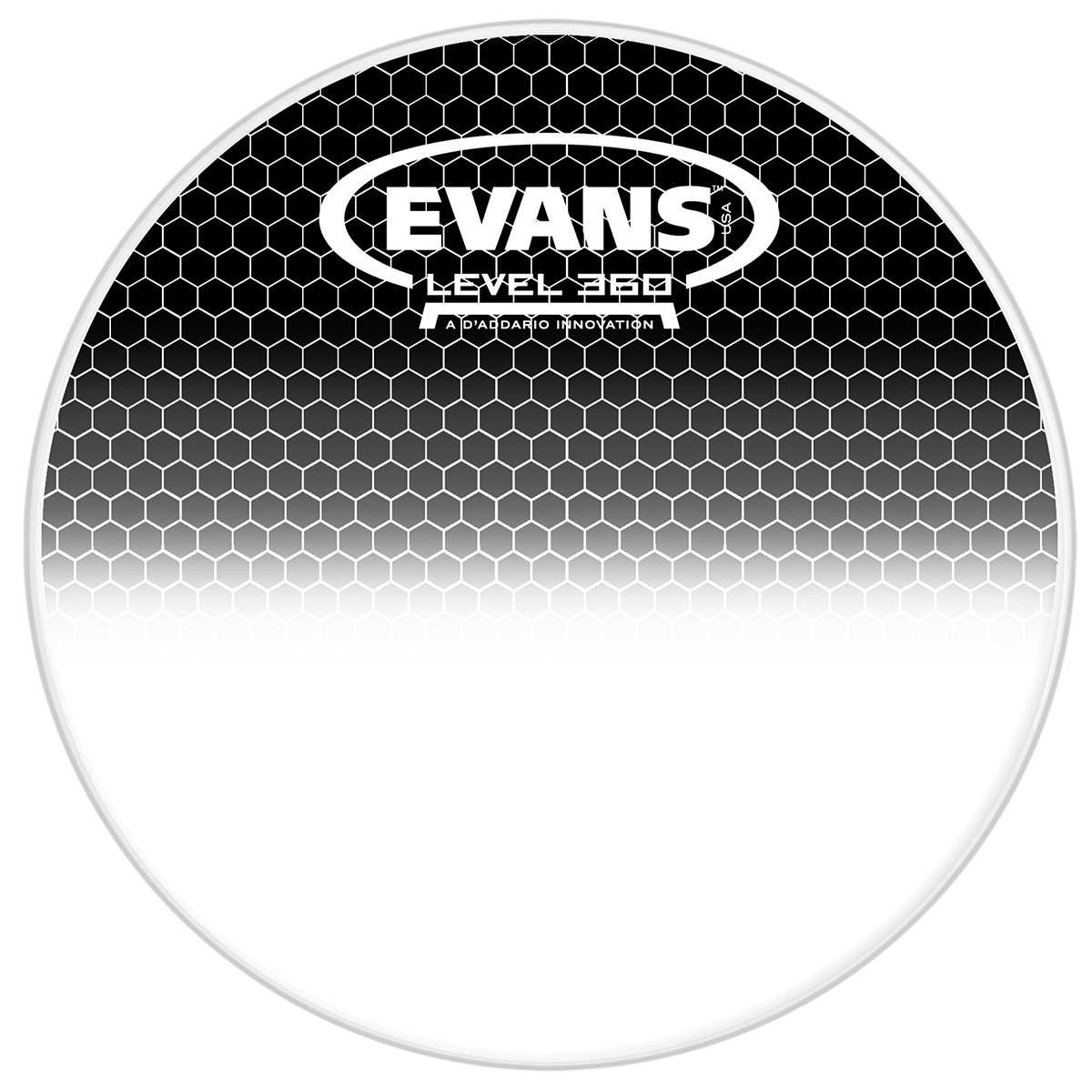 PARCHE EVANS 06      MOD. TT06SB1