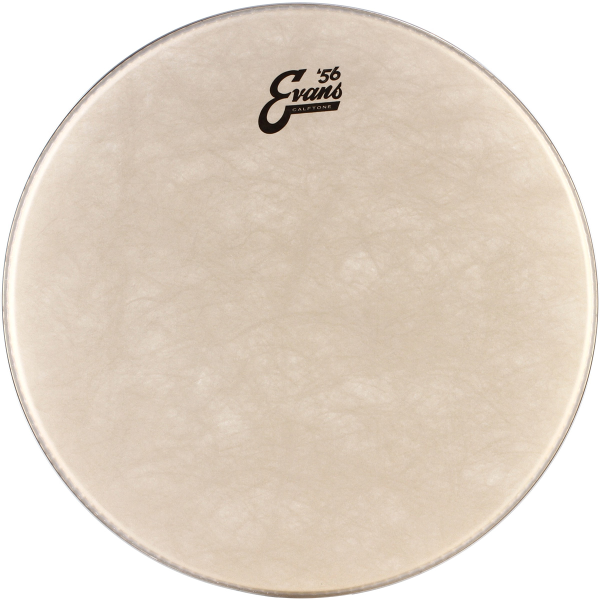 PARCHE EVANS 12      MOD. TT12C7