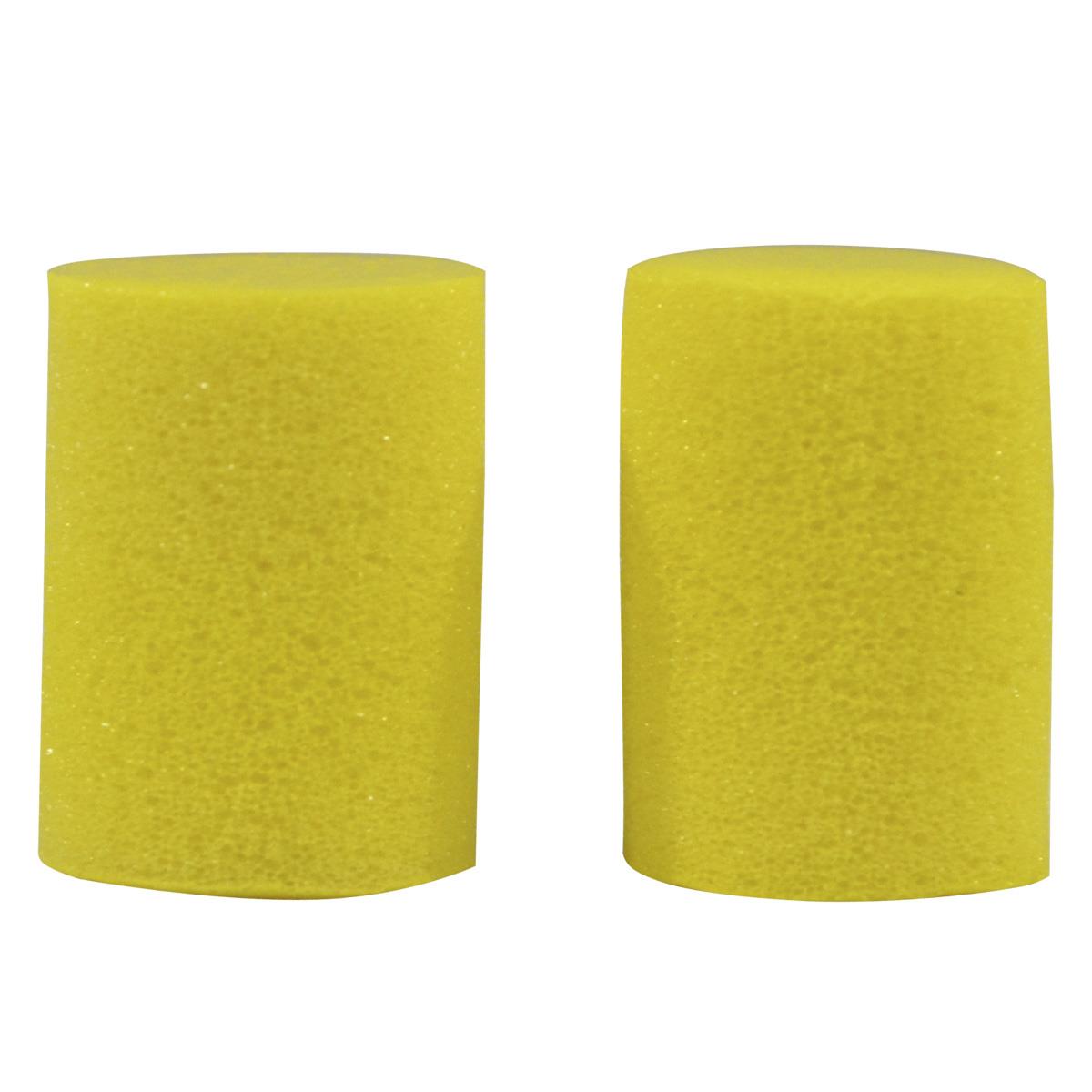 PROTECTOR PLANET WAVE     PWEP1