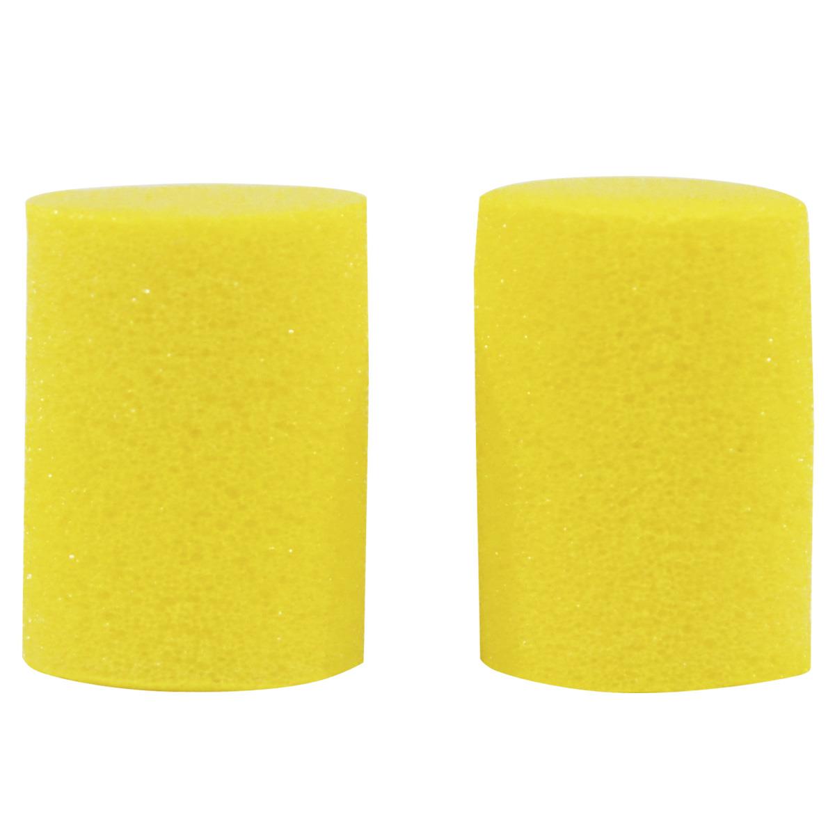 PROTECTOR PLANET WAVE     PWEP100